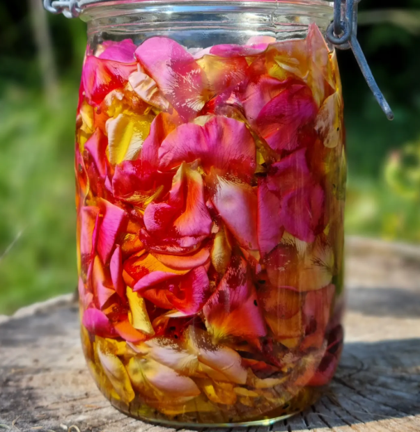 Sérum Rosae